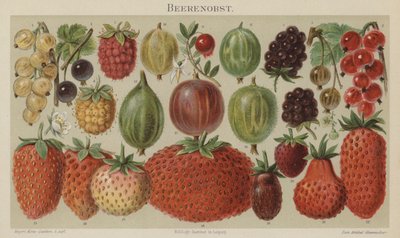Fruta blanda de German School